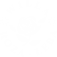 Willa Roza Łeba